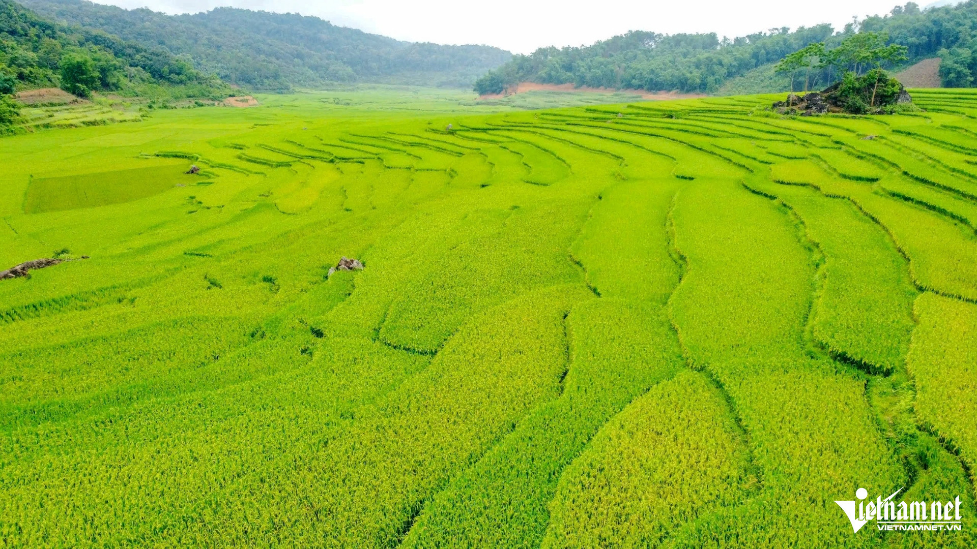 W-a5Ngắm thiên đường.jpg