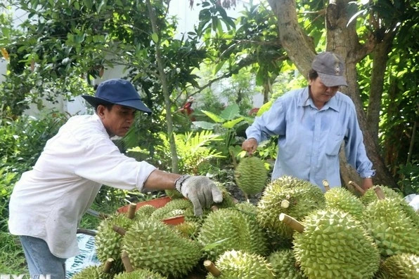 Vietnam, China seek to solve difficulties in agricultural exports