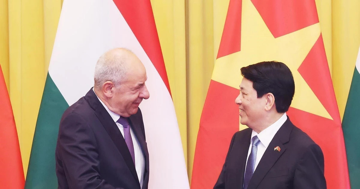 Vietnam treasures ties with Hungary: State President