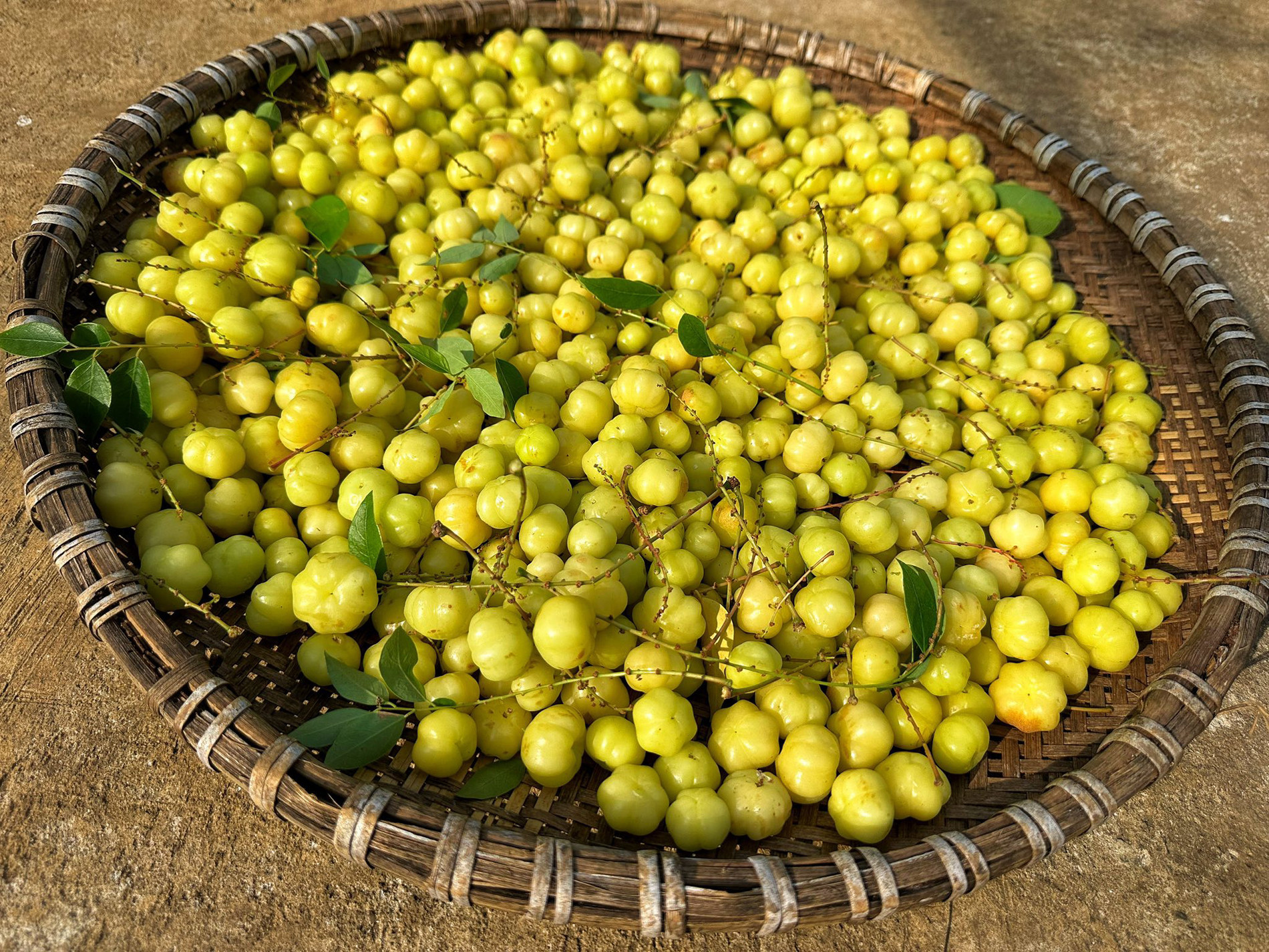 mứt chùm ruột 1.jpg