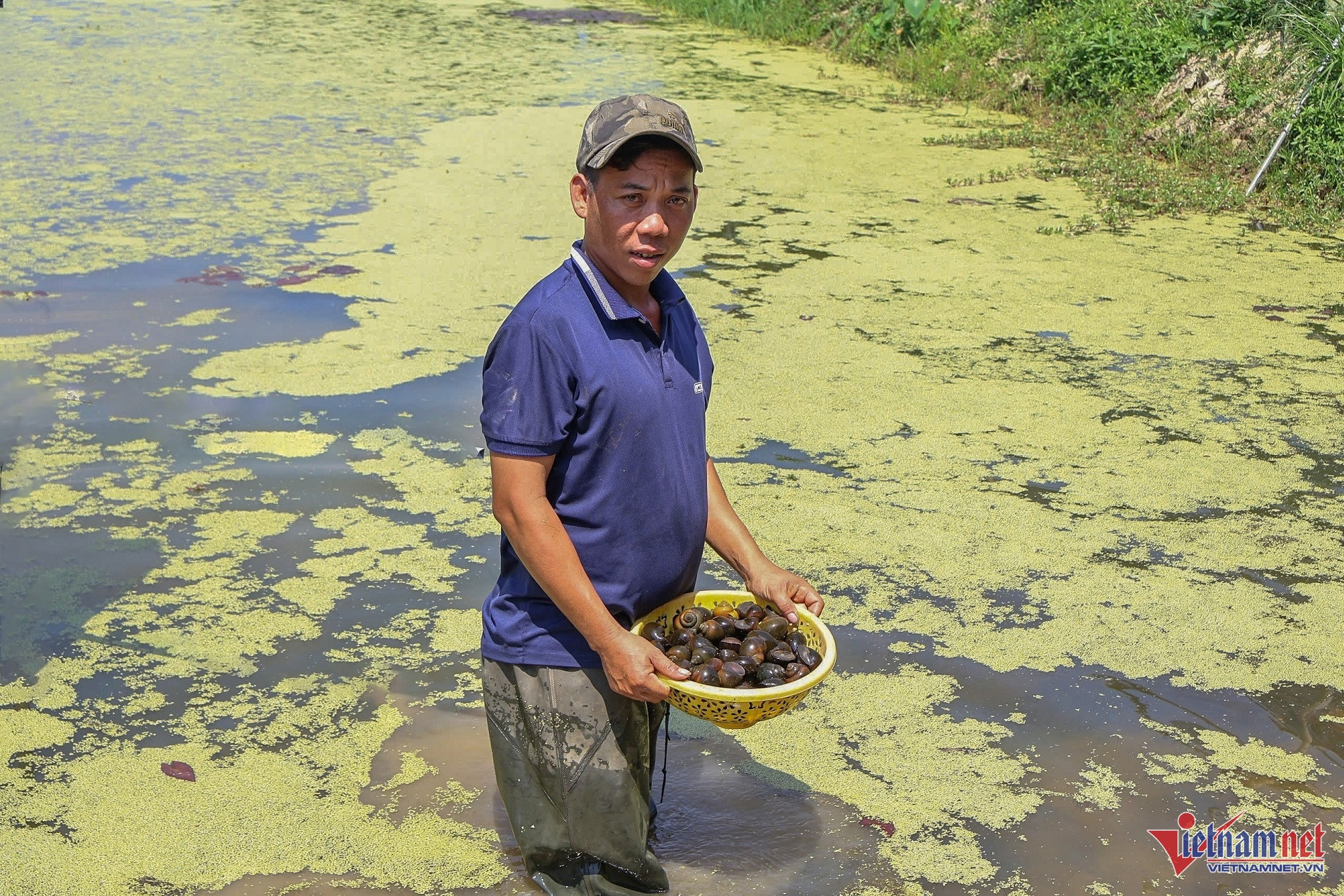 From wasteland to millions in revenue: farmer thrives with snail