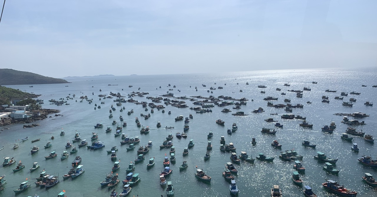 Phu Quoc boosts marine farming for sustainable ocean economy