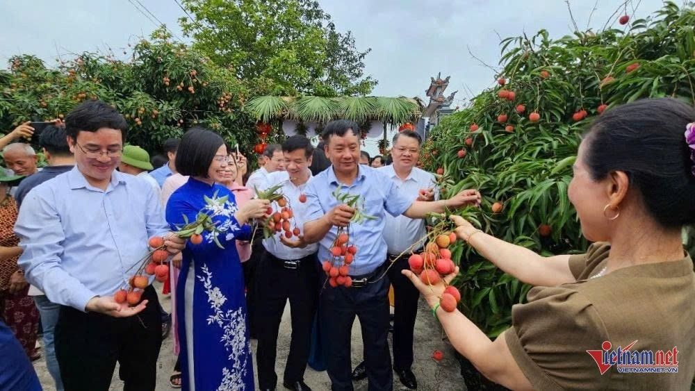 W-vải thanh 4.jpeg