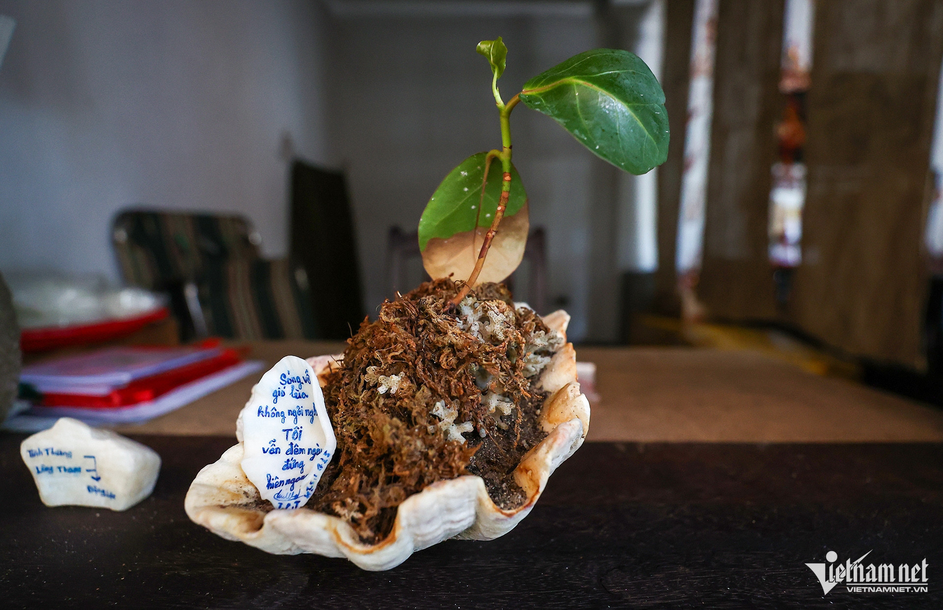 vietnam pagoda15.jpg