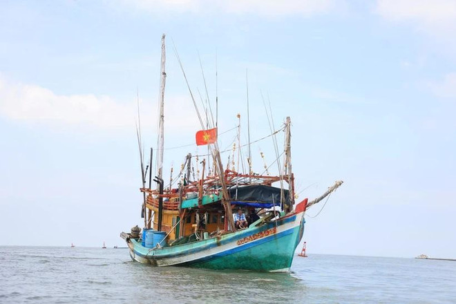 go-the-vang-iuu-trong-nam-2024-0411-1-8960.jpg