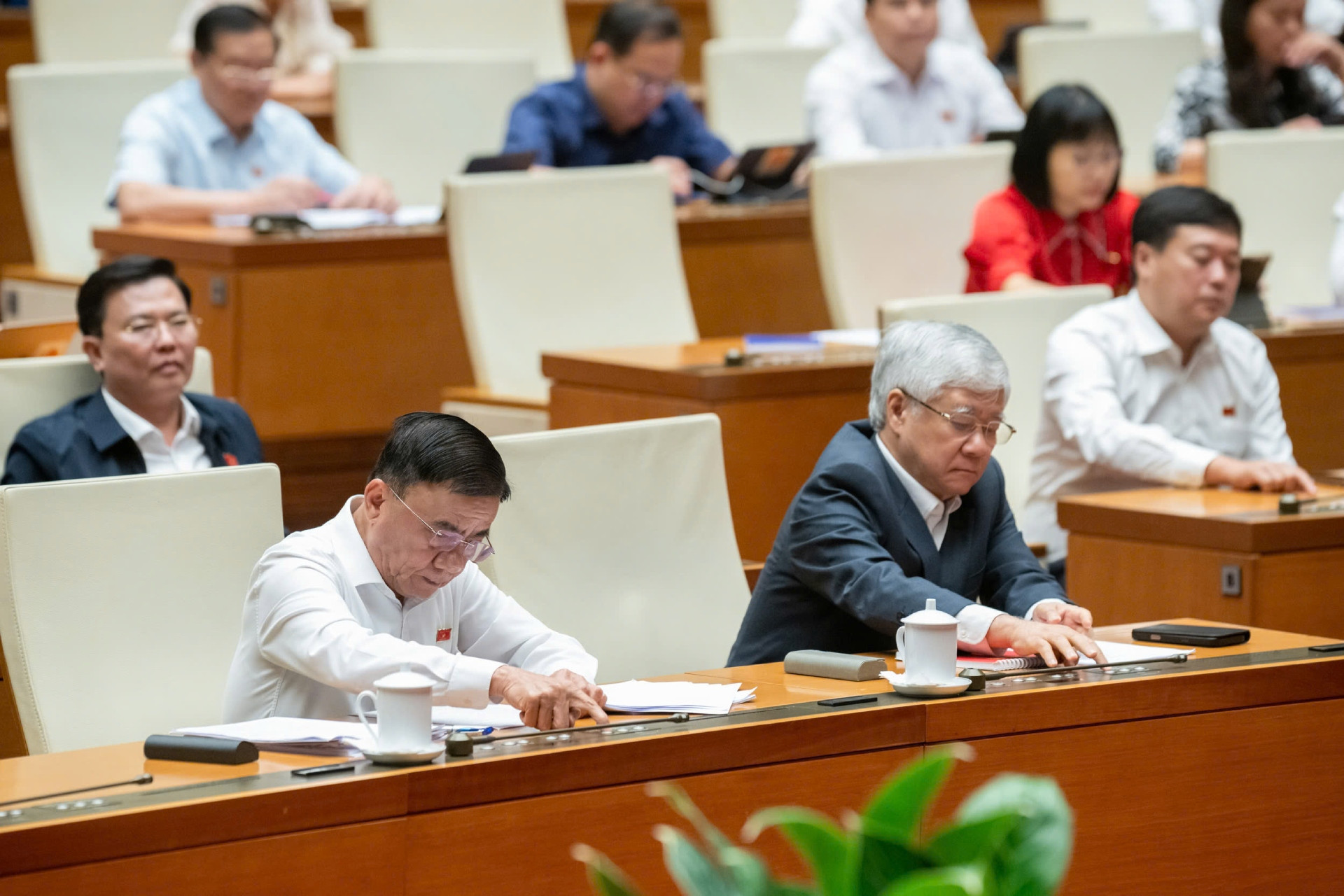 202505051521283534_z6570454304640_2bcc9c8a0953da93de42ee2b6e55f0b3 (1).jpg