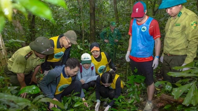 Wildlife conservation tours part of responsible ecotourism