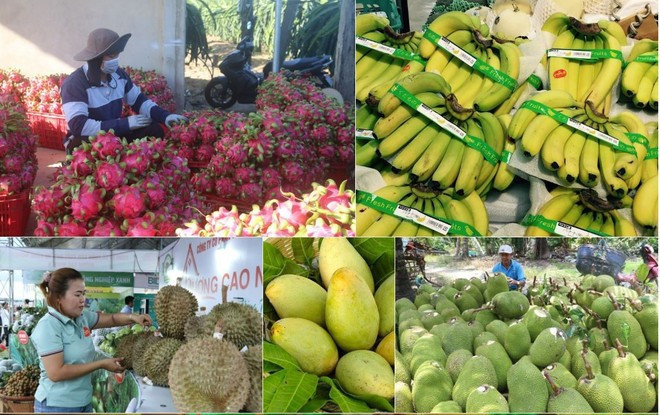 agro-forestry-aquatic-exports-2.jpg