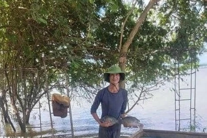 Brazil lifts suspension on Vietnamese tilapia fish imports