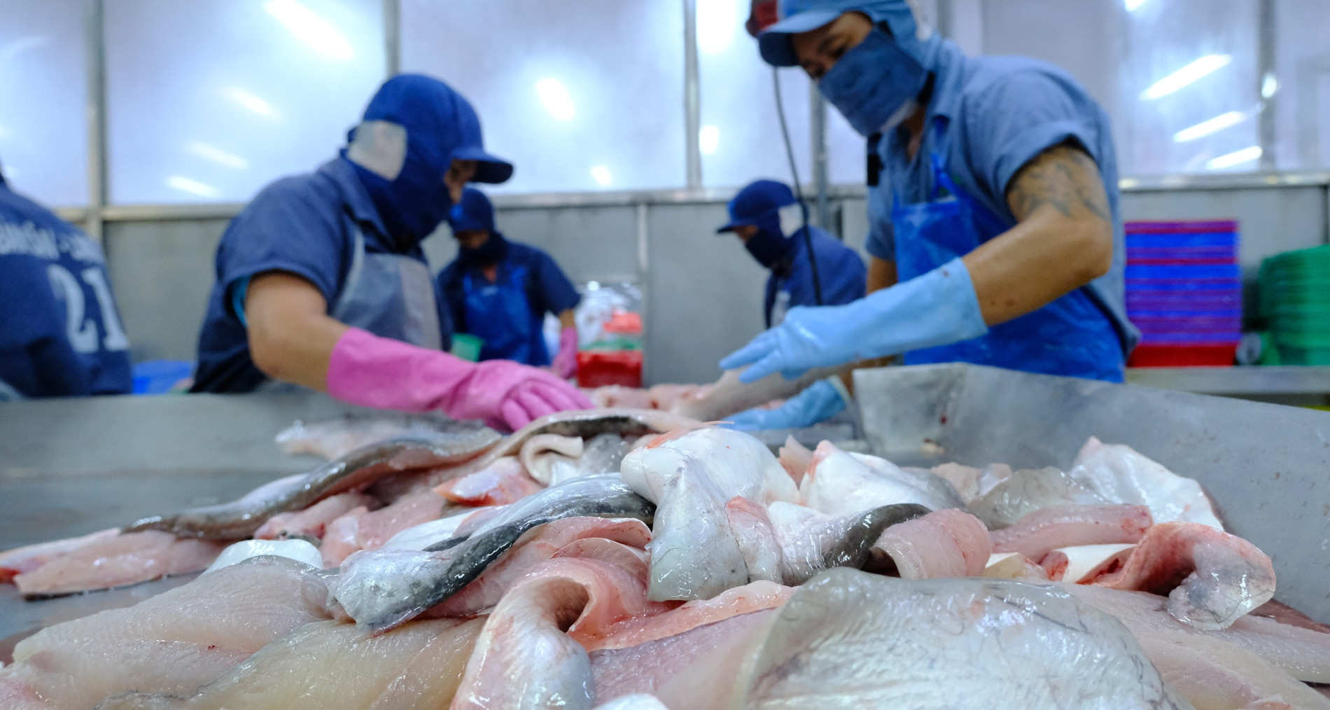 Vietnam tops China-bound seafood exports as US demand shrinks