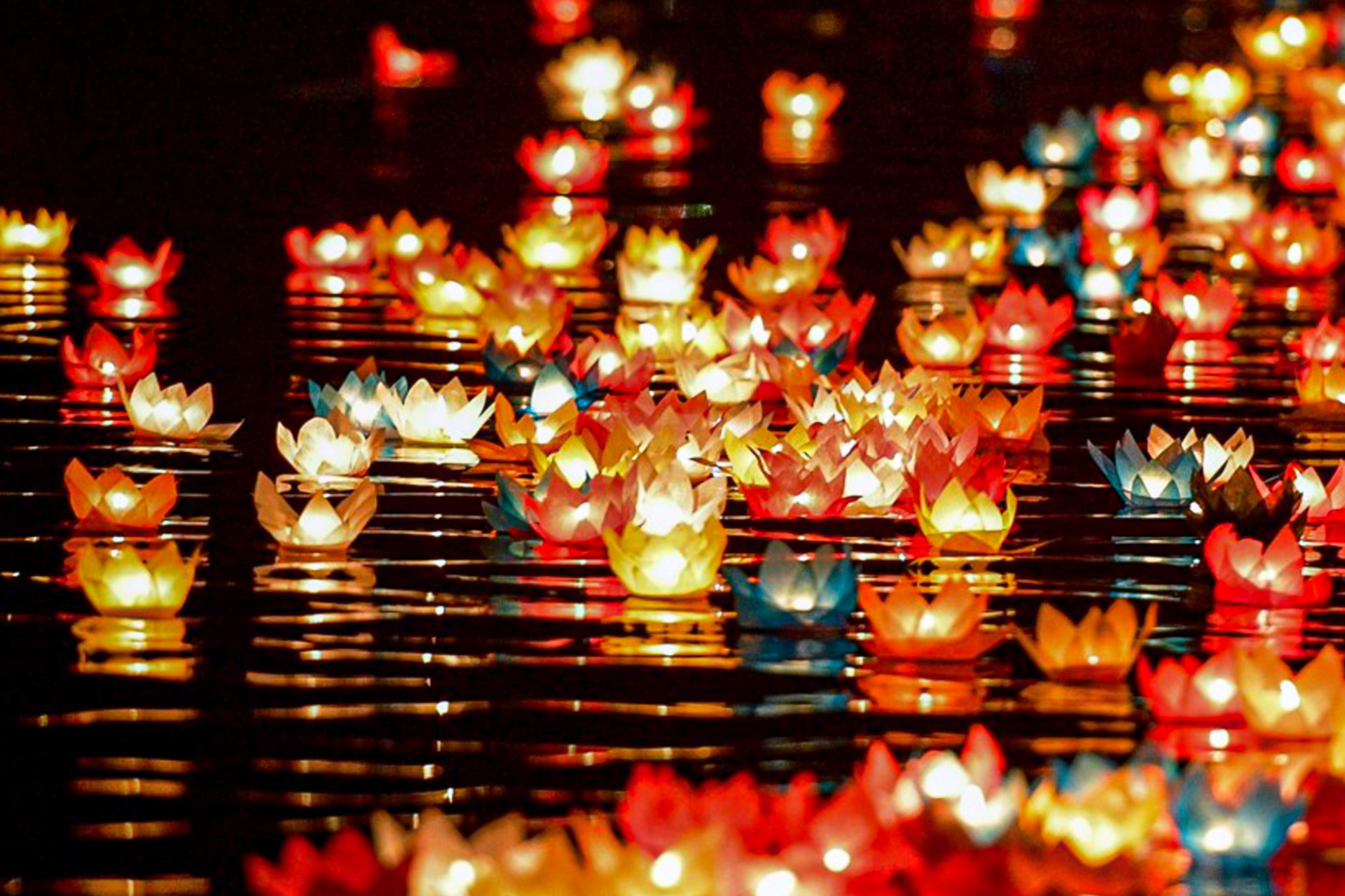 vesak vietnam9.jpg