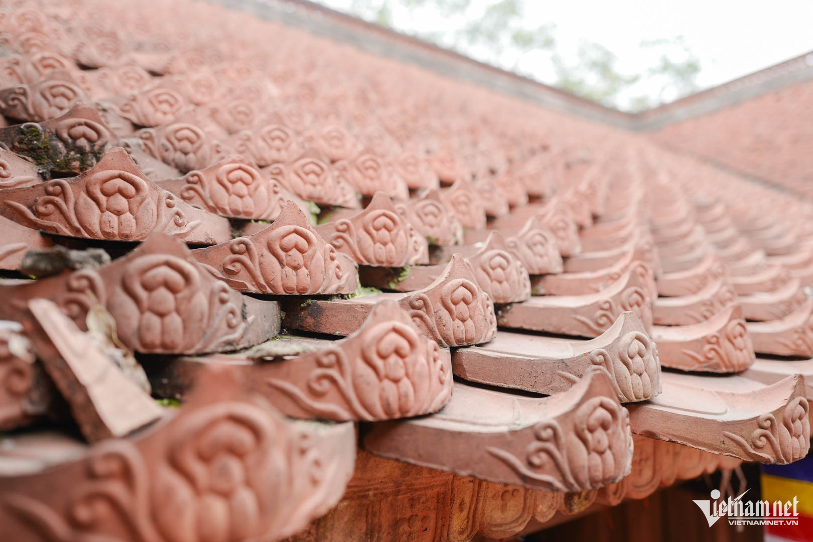 vietnam pagoda6.jpg