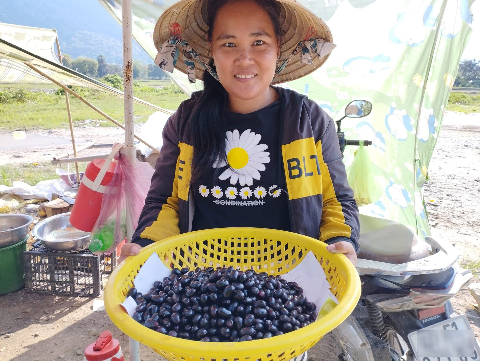 trái trâm An Giang Hoàng Dũng 4.jpg