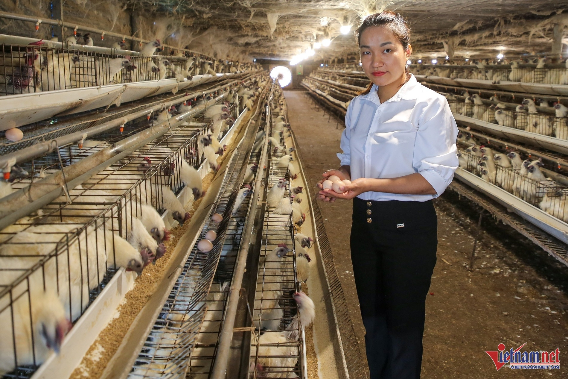 Master’s degree student quits job to raise fowl with classical music