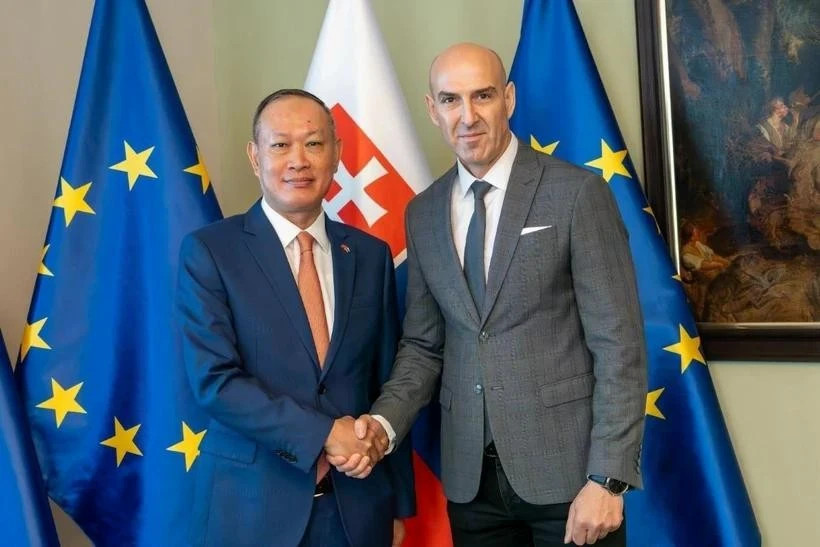Vietnam, Slovakia promote cooperation in crime combat