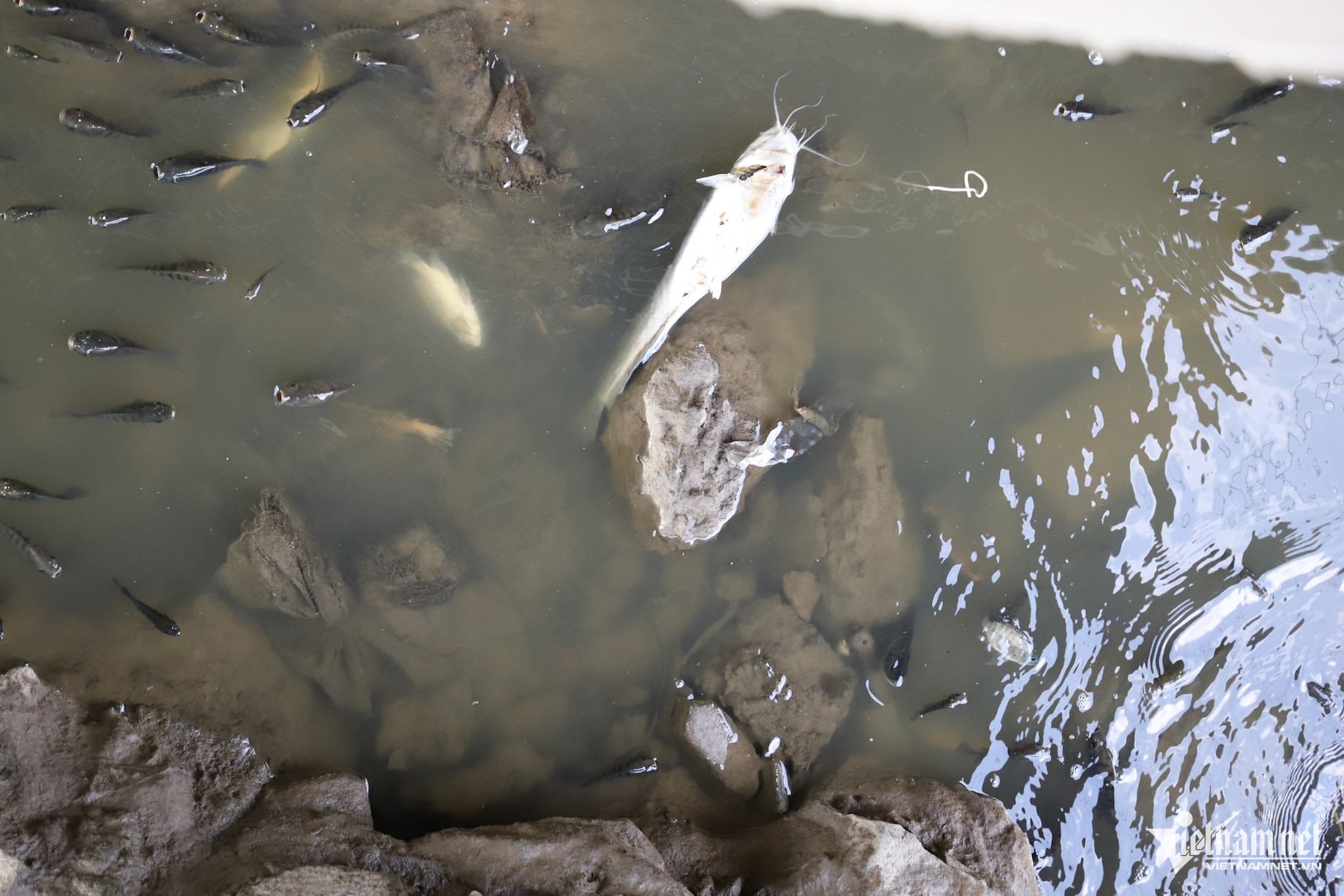 water pollution hcmc1.jpg