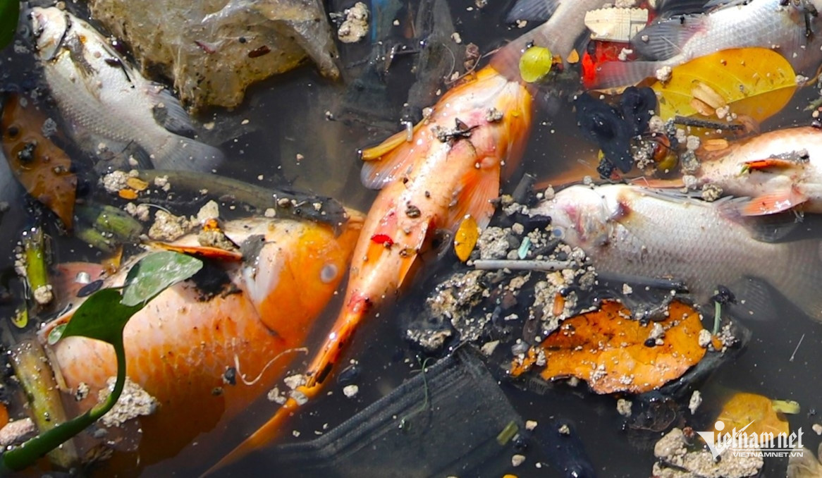 water pollution hcmc2.jpg