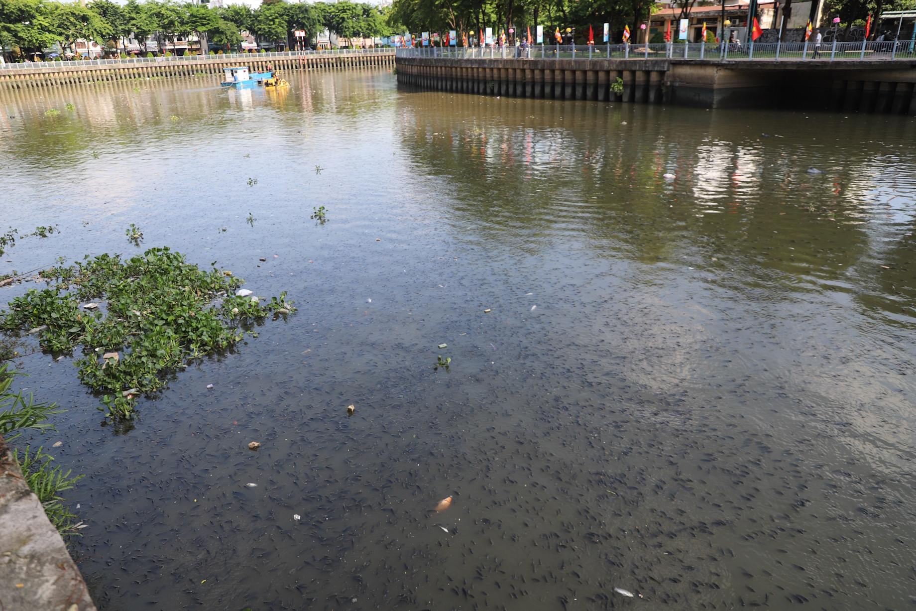 water pollution hcmc5.jpg
