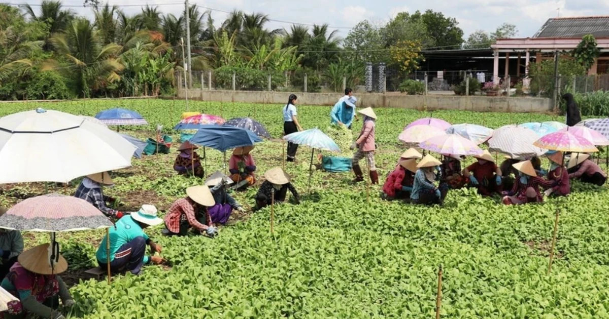 Nationwide rural, agricultural census to begin in July
