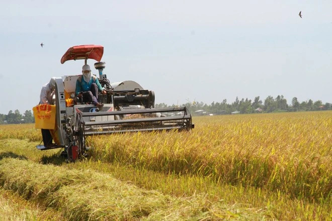 PM orders actions to safeguard agricultural production, exports