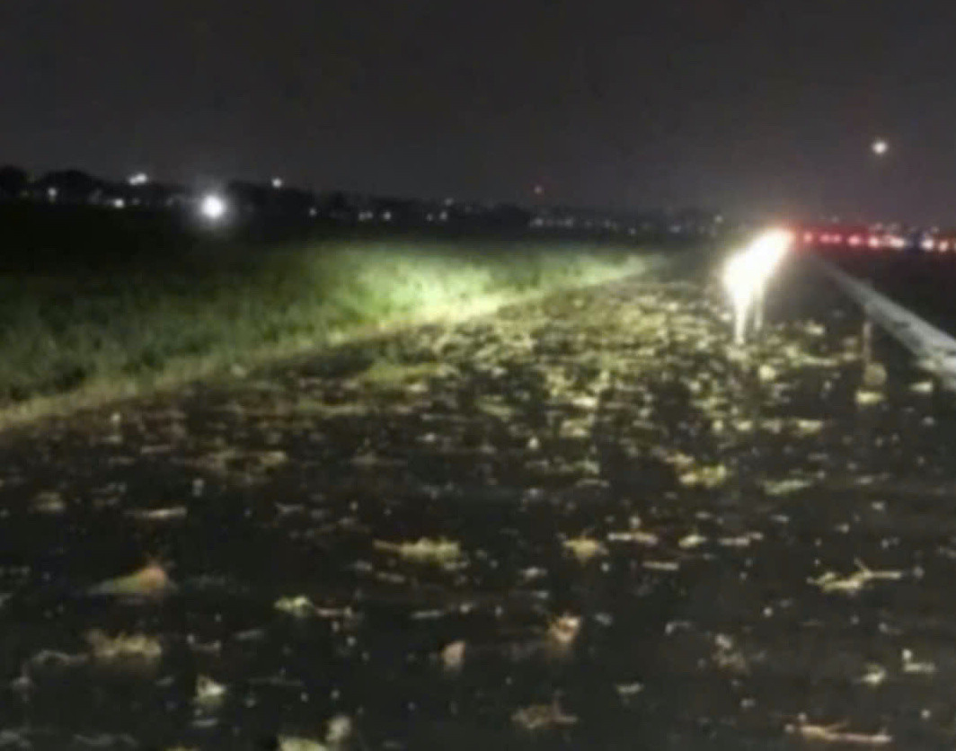 ce0c7525 843f 4c94 b883 6ecd63159a4c.jpeg