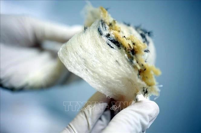 Vietnamese raw bird’s nests have opportunity to enter Chinese market