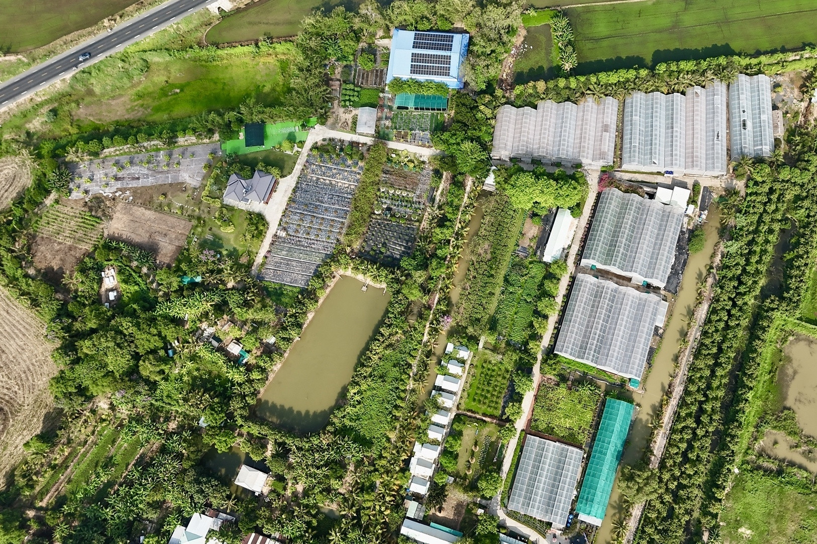 Vietnam’s farm tourism blooms, blending rustic charm with flowery dreams