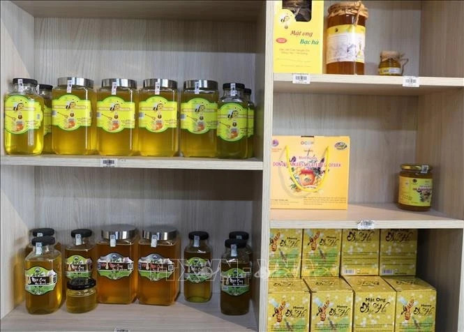 Mint honey: nautural treasure of Dong Van Karst Plateau