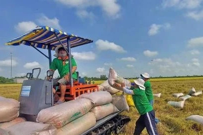 Vietnam enhances rice export position in Canadian market