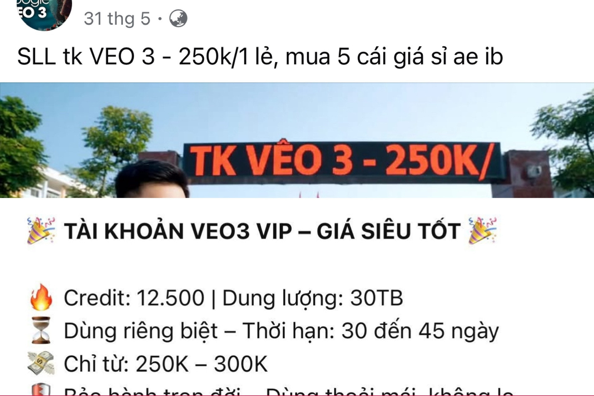 Buying and selling Veo 3 accounts in Vietnam is waste of money: experts