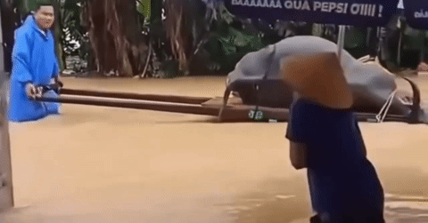 Hoi An hit by rare summer flood, streets deserted and shops shuttered