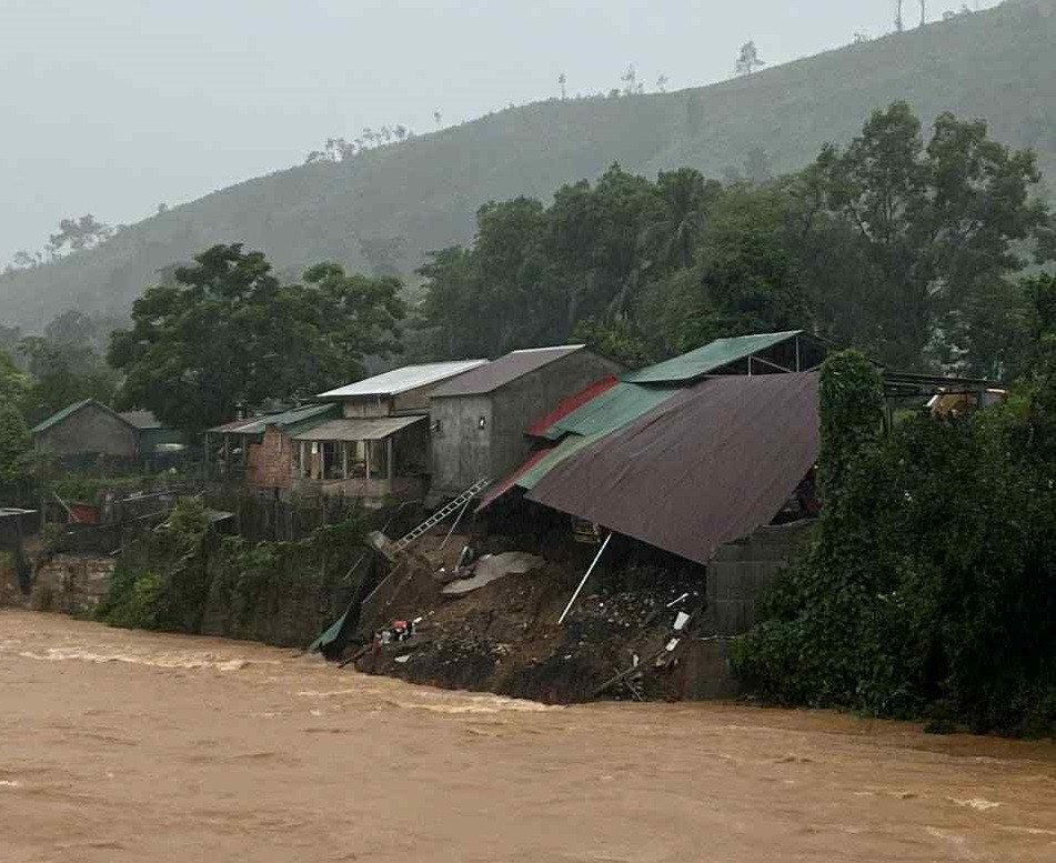 c6208344 fe34 4e34 9d4c 87c1005d89d7.jpg