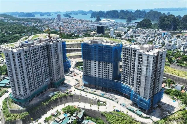 Cutting construction procedures to boost business environment