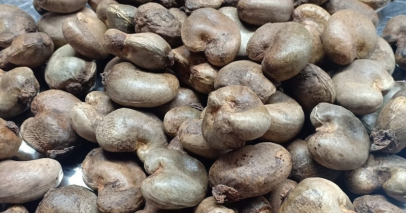 Vietnam spends $2B on cashews, imports from Cambodia soar