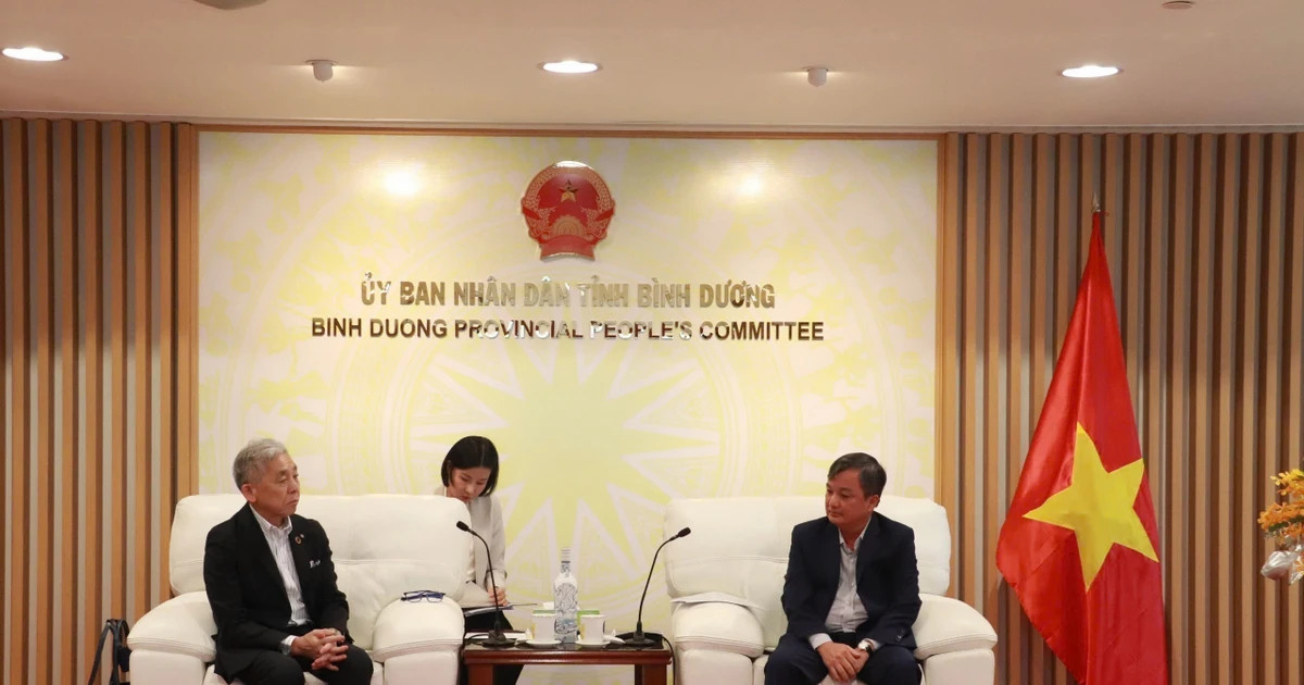 Binh Duong partners with Japanese firm to develop light rail transit project