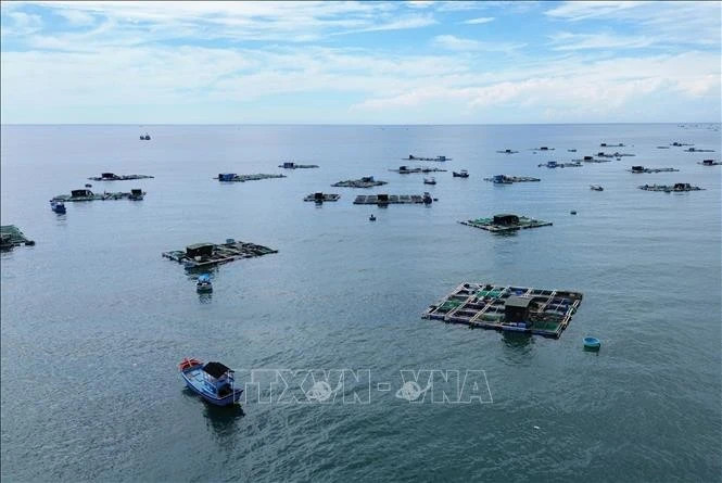 Foreign experts give advice for effective, sustainable blue economy development
