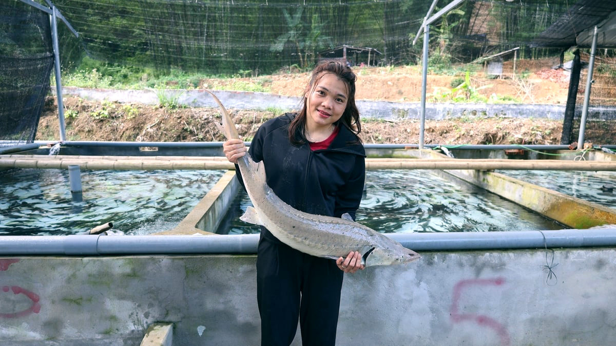 img_1631 183327_200 133516.jpg