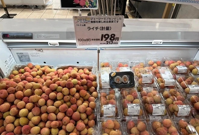 Vietnam Goods Week opens in Japan’s Saitama prefecture