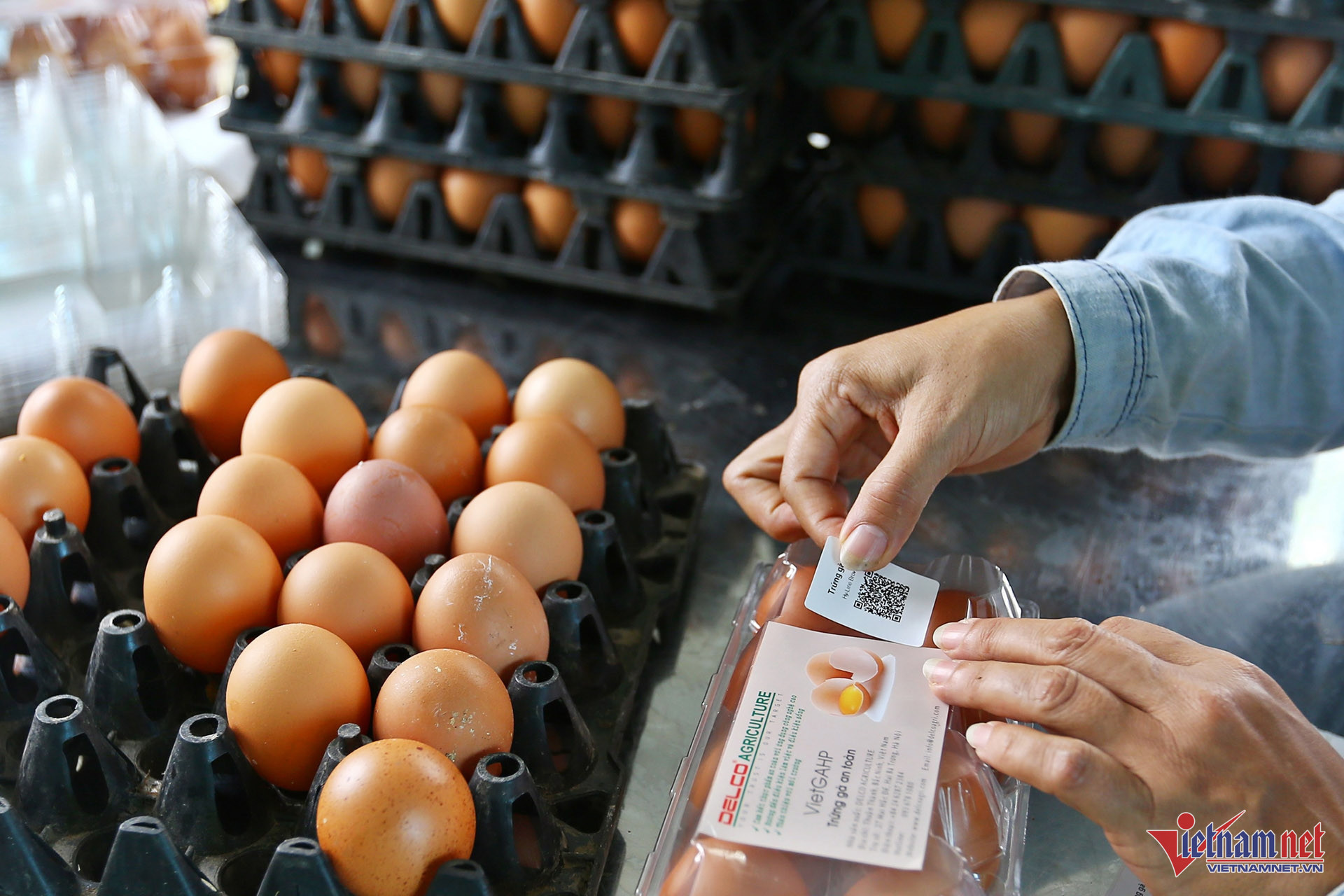 Truy xuất nguồn gốc.jpg