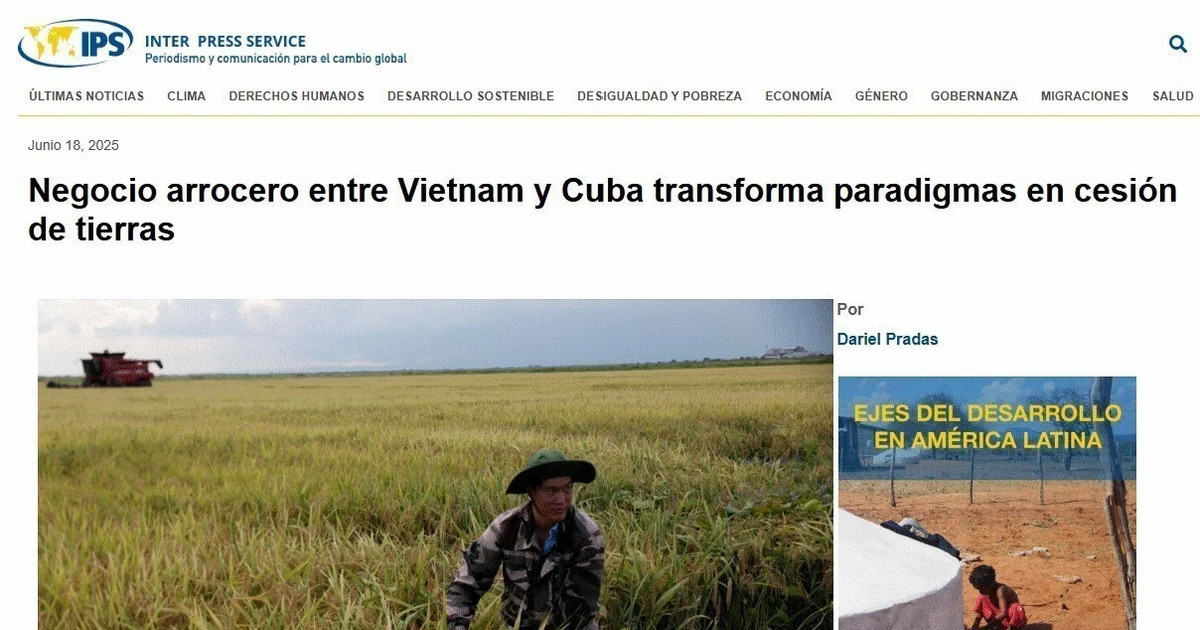 Vietnam–Cuba rice partnership sets new model for sustainable food security