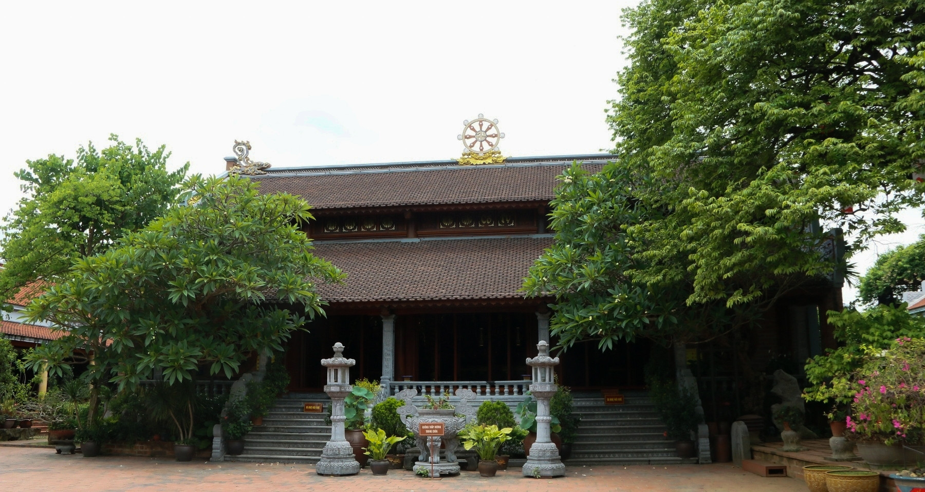 Pagoda in Ninh Binh boasts Vietnam’s first two heritage trees