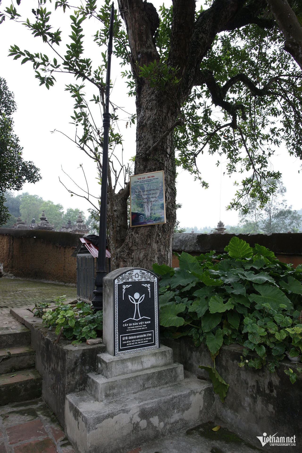 W-Chùa Bổ Đà 14.jpg