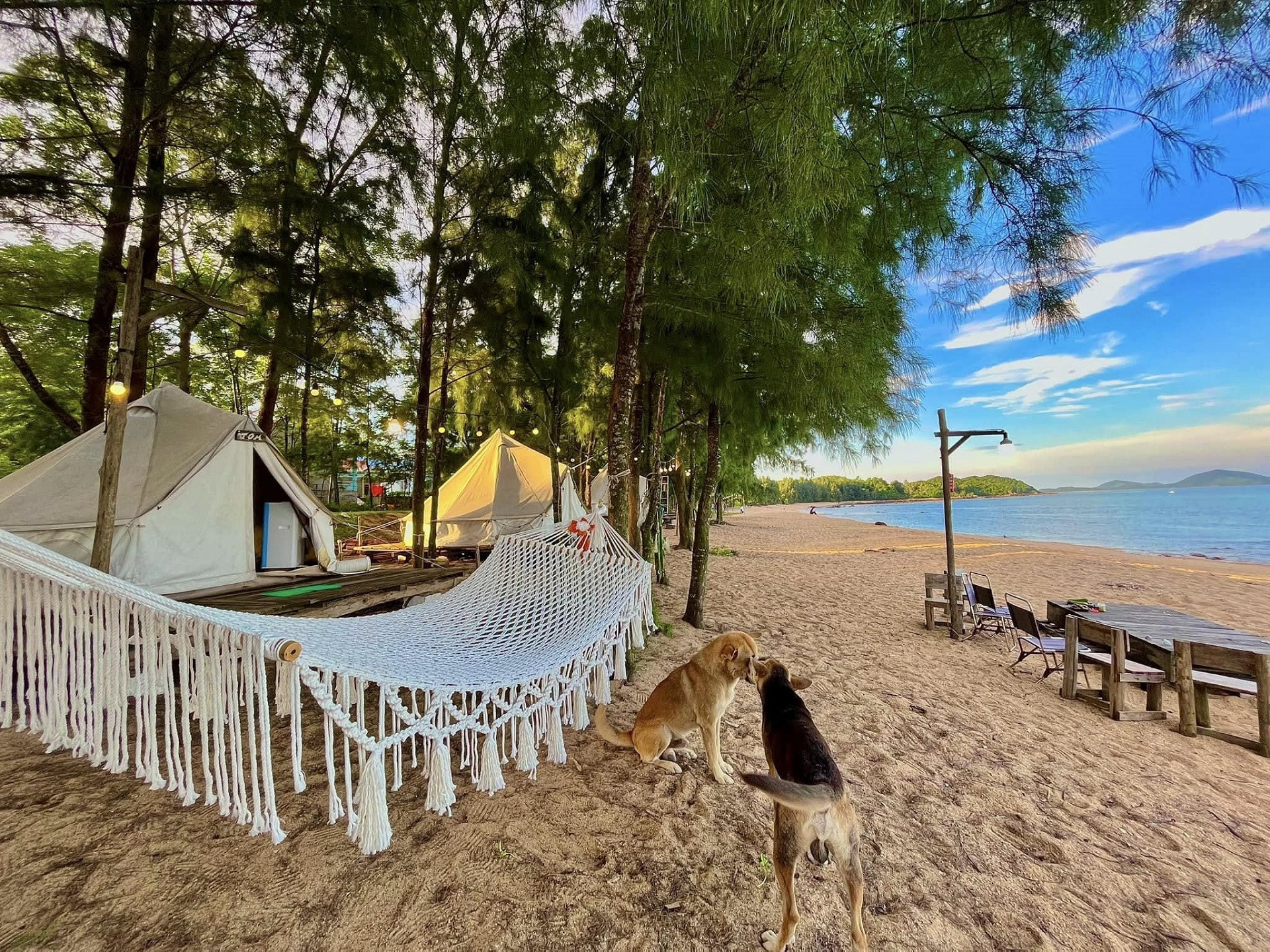 island vn5.jpg