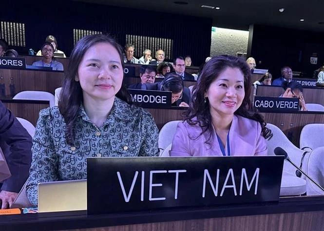Vietnam re-elected to 2005 UNESCO Convention’s Intergovernmental Committee