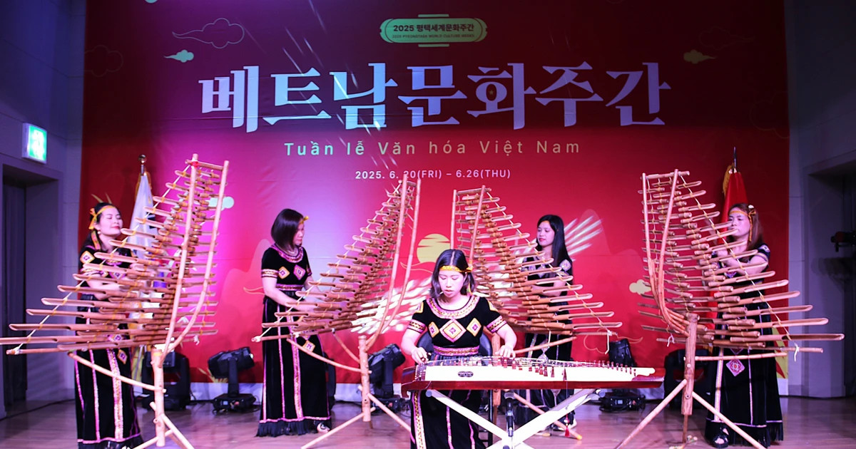 Vietnamese culture takes centre stage in Korean city