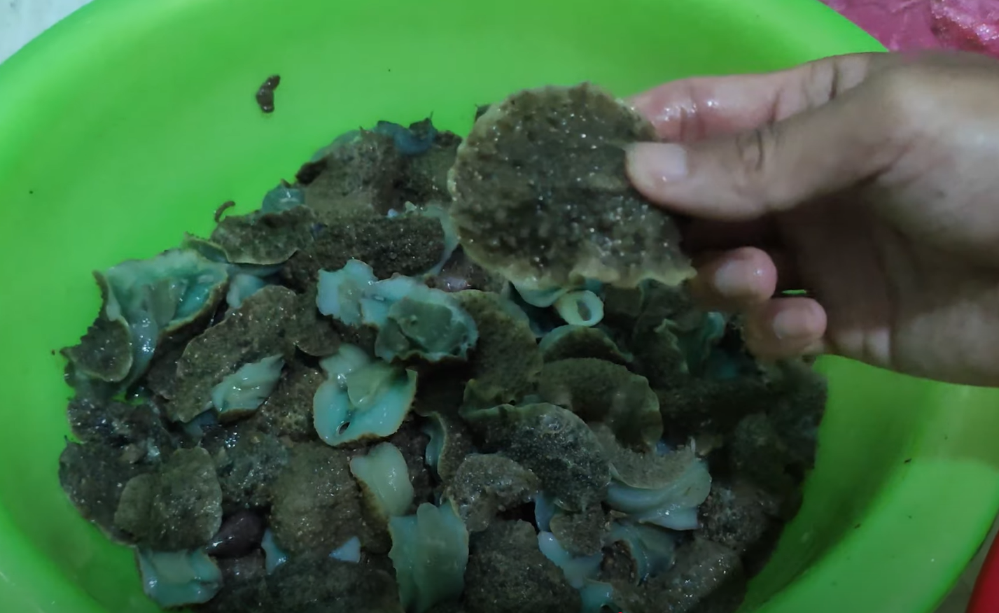 Screenshot 2025 06 21 082249.png