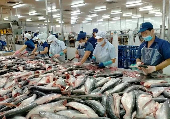 US maintains zero anti-dumping duties on Vietnamese pangasius