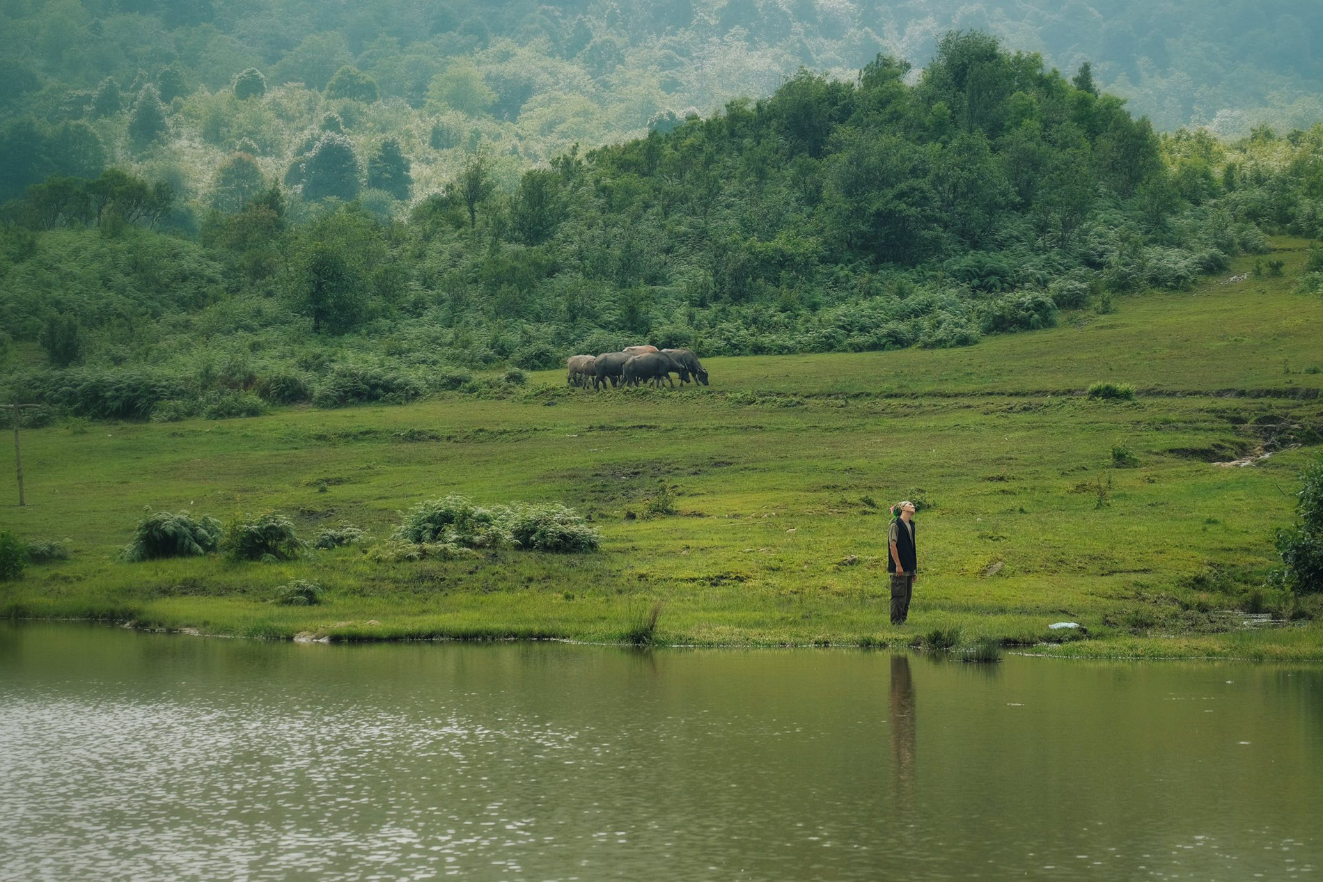 vietnam highland.jpg