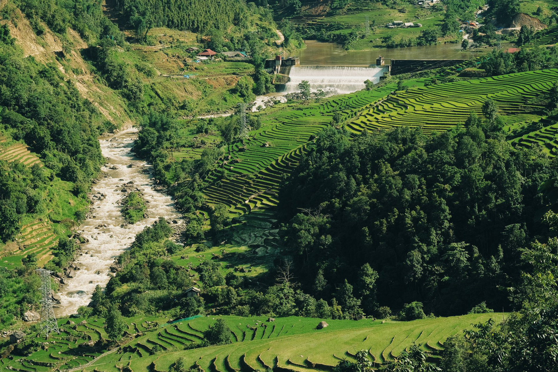 vietnam highland.jpg1.jpg