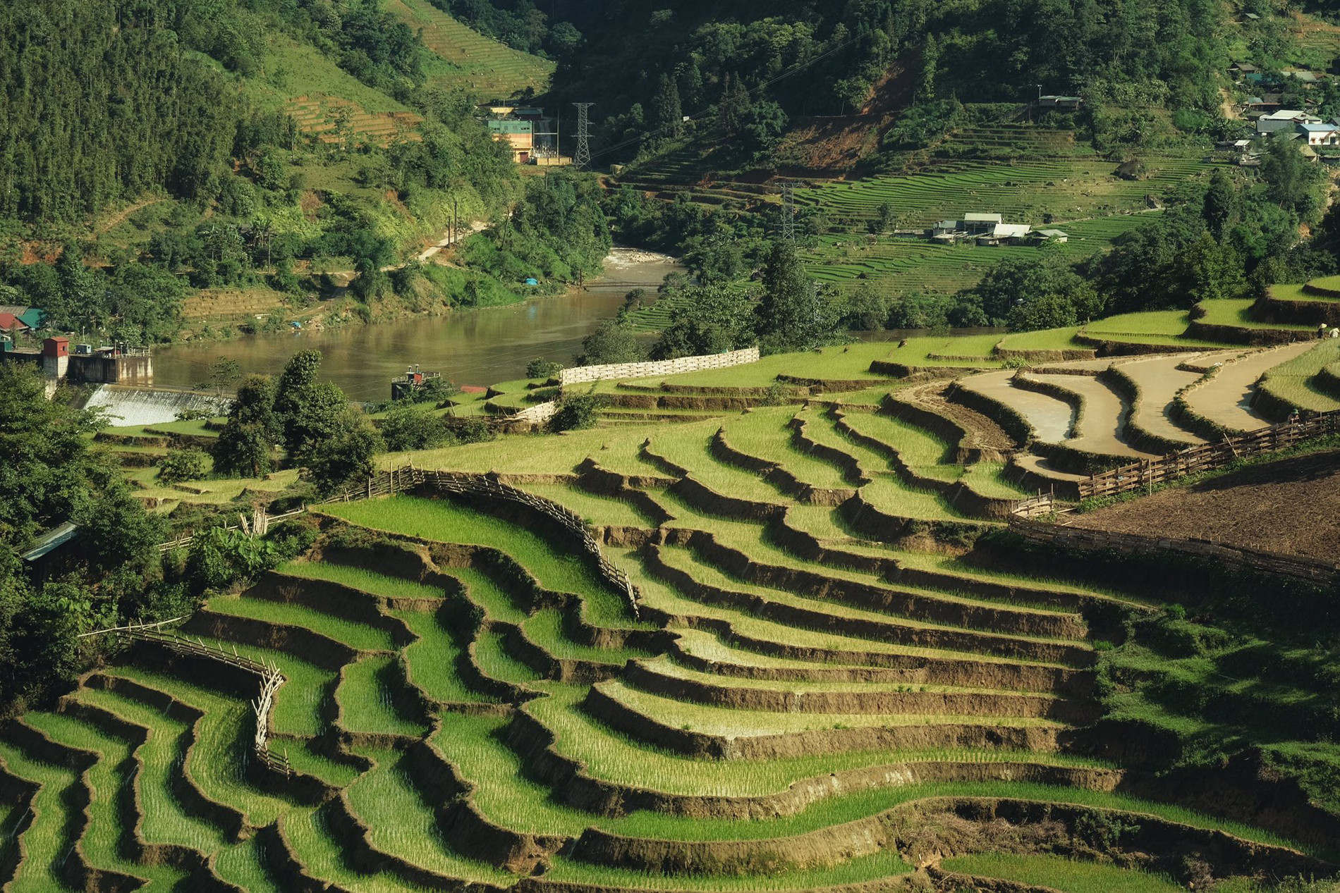 vietnam highland.jpg11.jpg